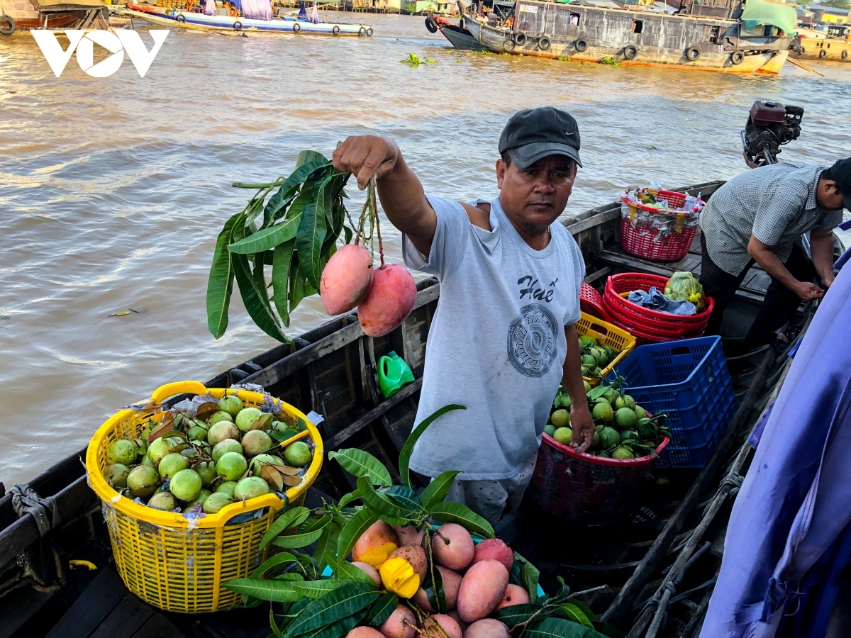 Can Tho deploys green tourism projects at Cai Rang floating market